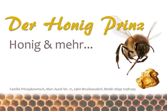 Animal, Bee, Honey Bee, Insect, Invertebrate, Apidae, Bumblebee, Wasp