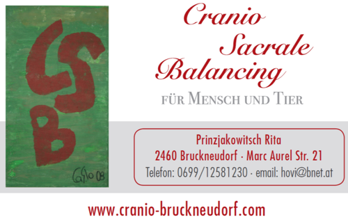 Text, Symbol, Number