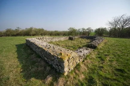Field, Nature, Outdoors, Pasture, Grass, Wall, Grassland, Vegetation, Stone Wall, Ground