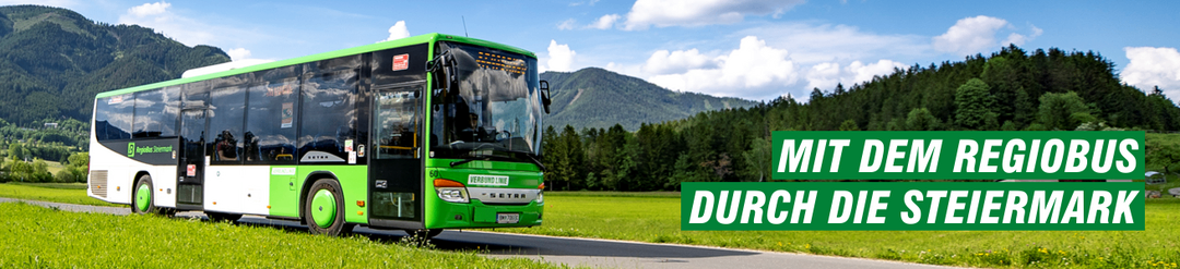Bus, Transportation, Vehicle, Tour Bus, Outdoors, Machine, Wheel