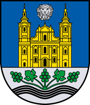 Animal, Lion, Mammal, Wildlife, Architecture, Building, Cathedral, Church