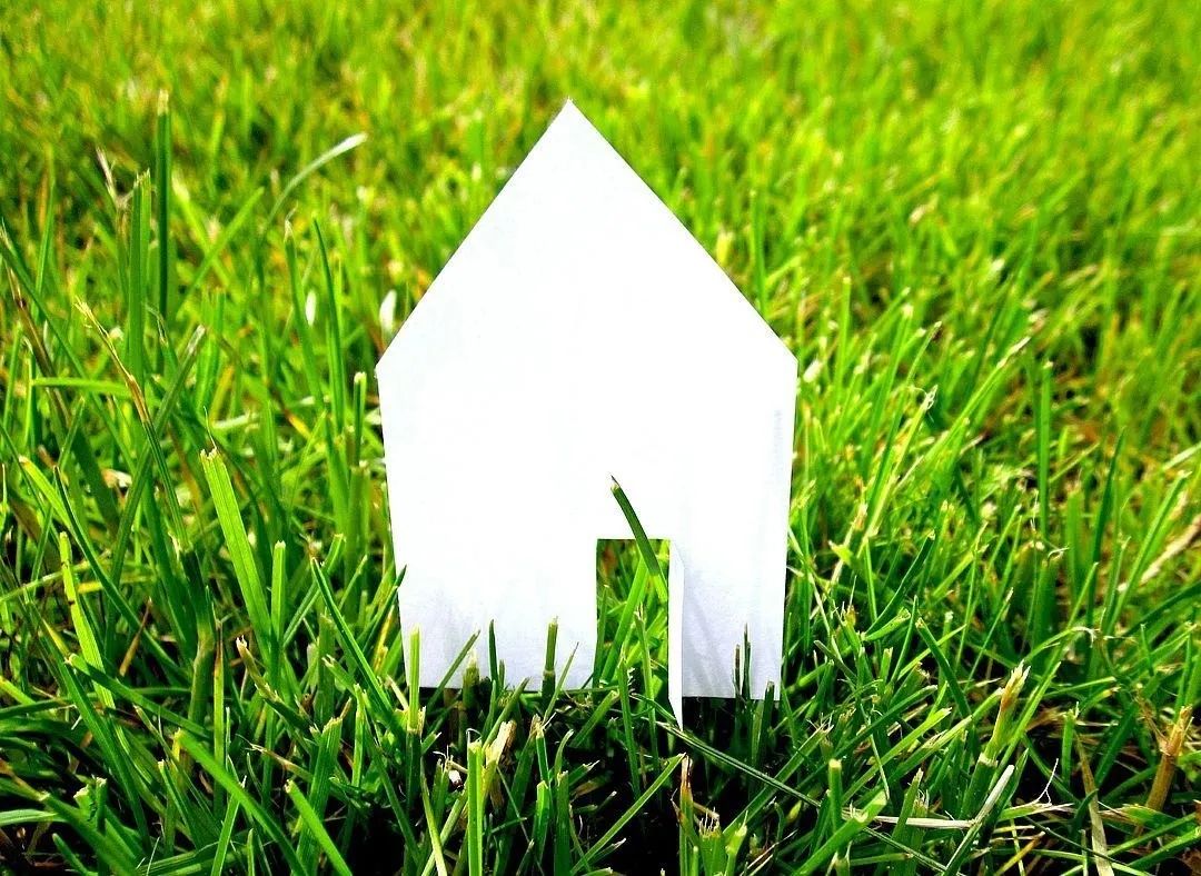 Grass, Plant, Lawn, Green, Leaf