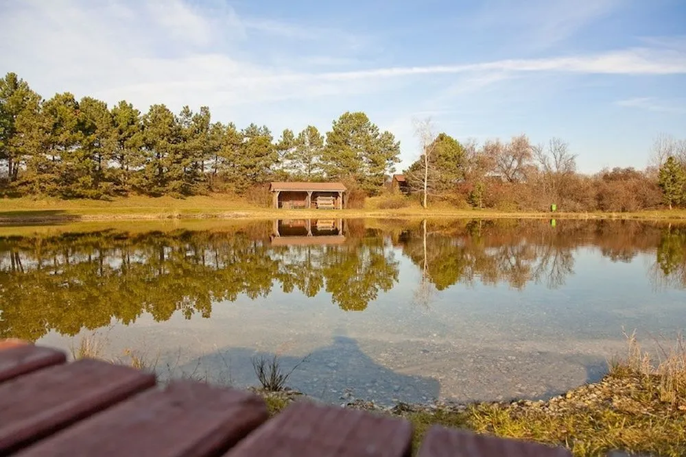 Nature, Outdoors, Scenery, Pond, Water, Lakefront, Waterfront, Lake, Landscape, Shelter