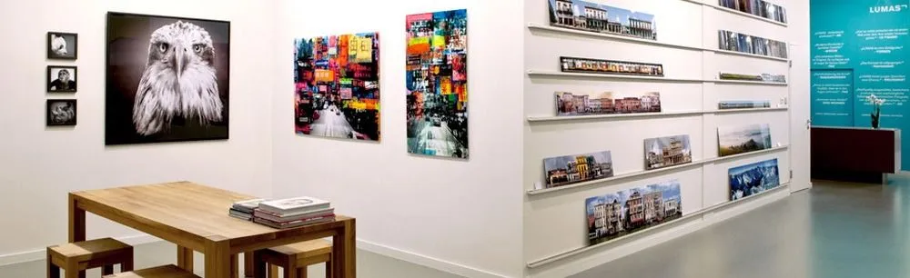 Book, Publication, Desk, Furniture, Bird, Art, Painting, Indoors, Library, Shop