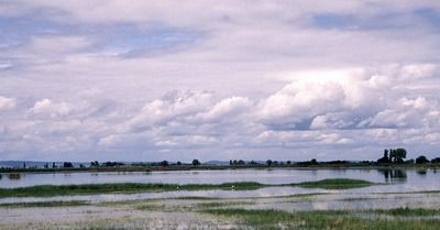 Bild enthält, Nature, Outdoors, Sky, Cloud, Cumulus, Weather, Land, Scenery, Landscape, Water
