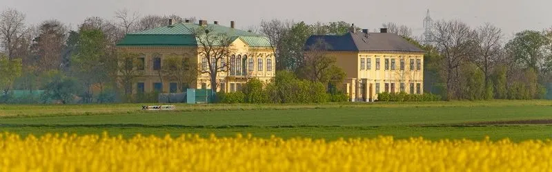 Grass, Field, Housing, Grassland, Nature, Outdoors, House, Villa, Scenery, Manor