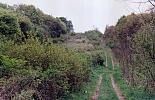 Bild enthält, Green, Vegetation, Path, Field, Grassland, Slope, Grass, Land, Woodland, Trail