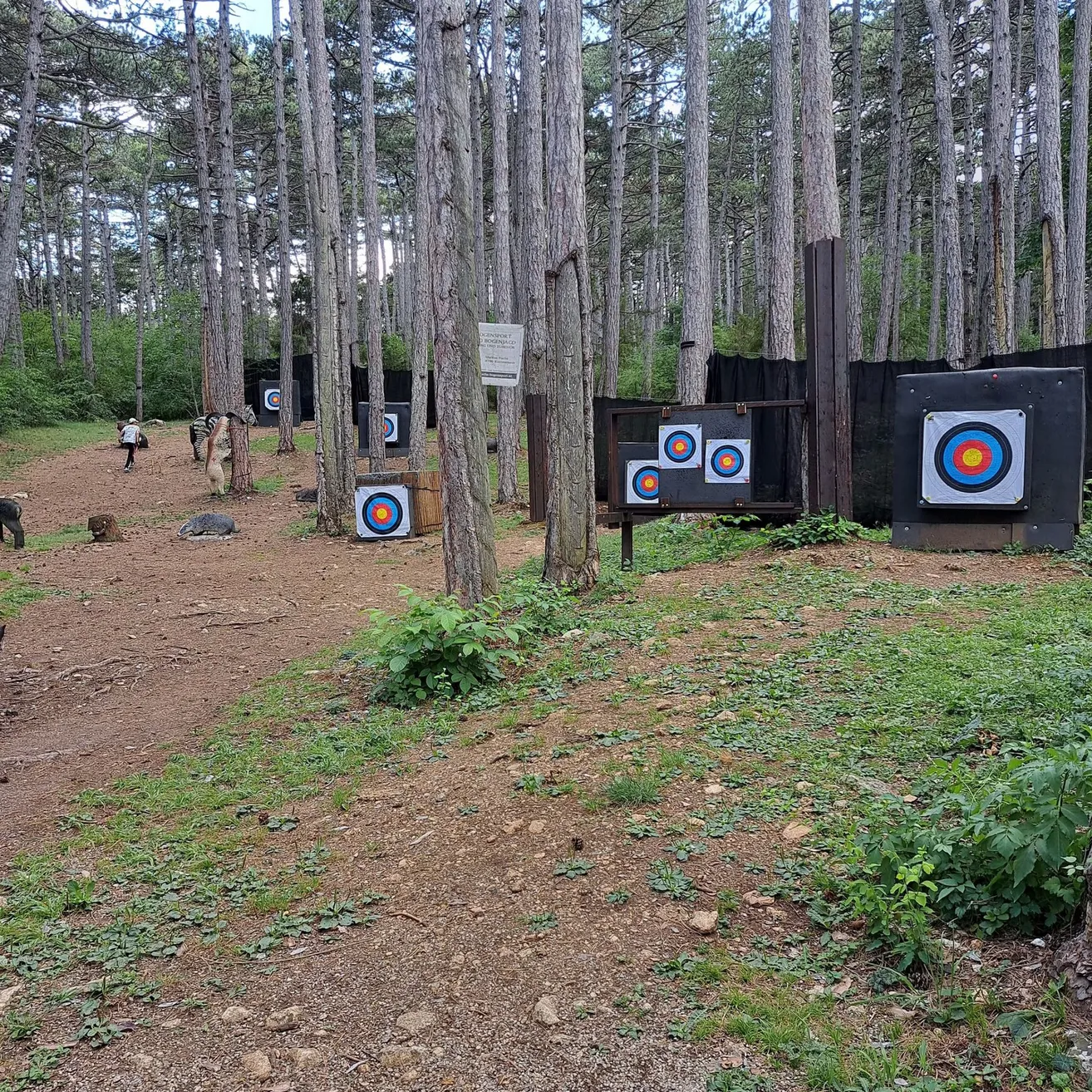 Eine Outdoor-Bogenschießanlage mit mehreren Zielen in einem Wald. Bäume umgeben das Gebiet, und eine Person geht auf die Ziele zu.