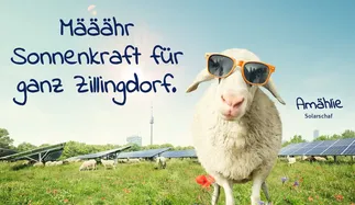 Ein Schaf mit Sonnenbrille steht auf einer Wiese mit Solarpanelen im Hintergrund und wirbt für erneuerbare Energie für Zillingdorf.