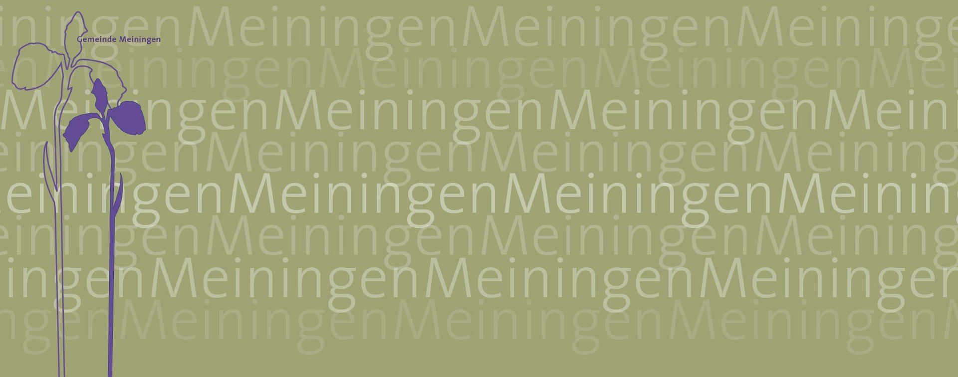 website banner