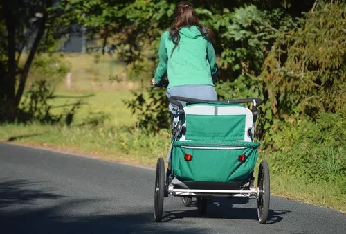 Person, Carriage, Transportation, Vehicle, Wagon, Walking