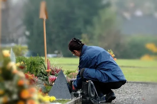 Garden, Nature, Outdoors, Gardening, Gardener, Person, Adult, Male, Man, Graveyard