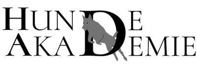 Logo, Animal, Kangaroo, Mammal, Text