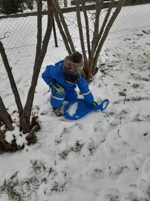 Ein Kind in einem blauen Mantel und Mütze spielt im Schnee und benutzt einen blauen Schneeschieber, um in einem verschneiten Bereich neben Bäumen zu graben.