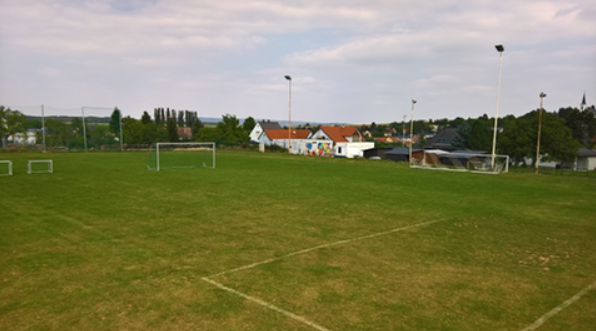 Bild enthält, Field, Grass, Plant