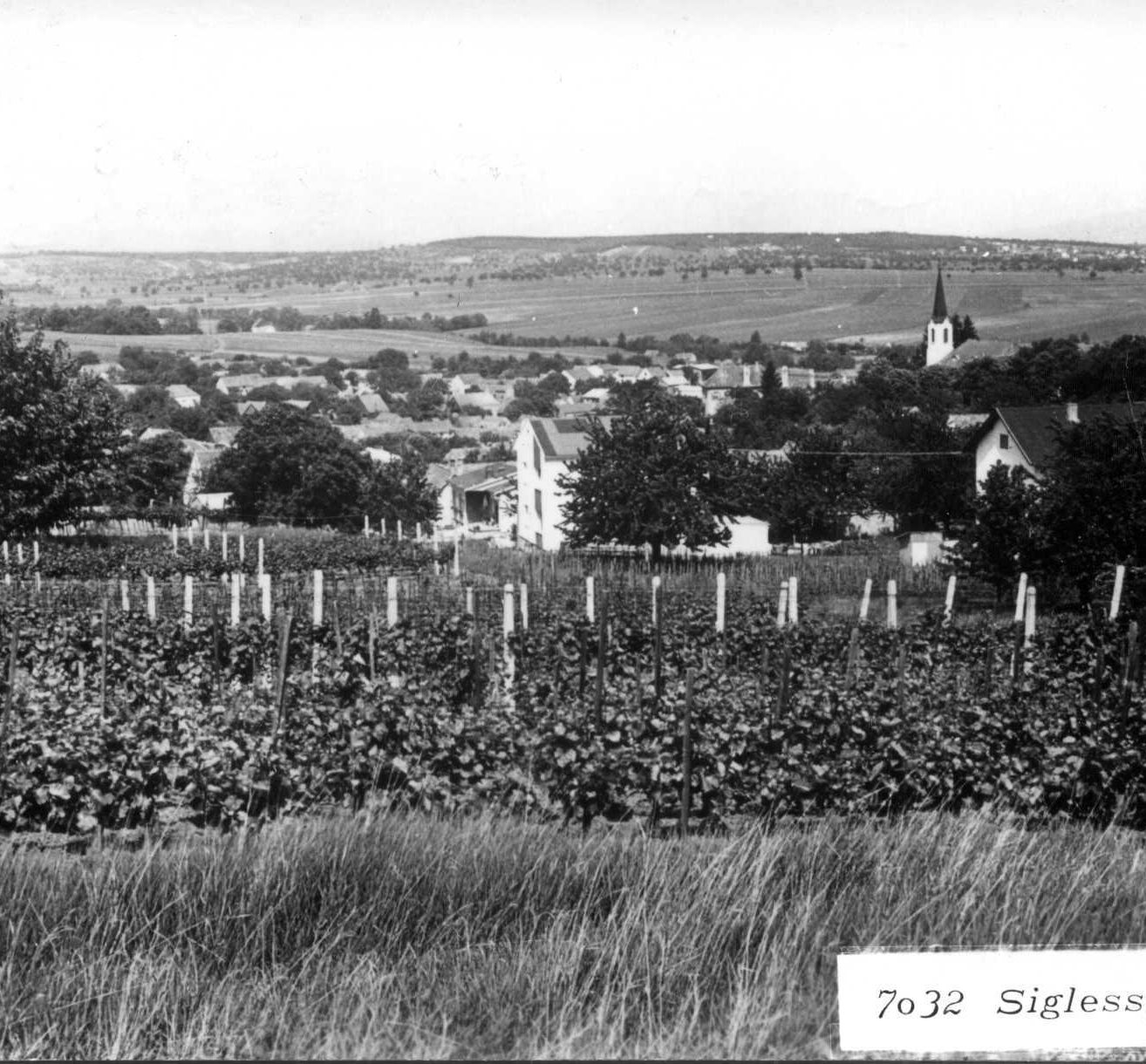 Bild enthält, Outdoors, Nature, Countryside, Rural, Field, Farm