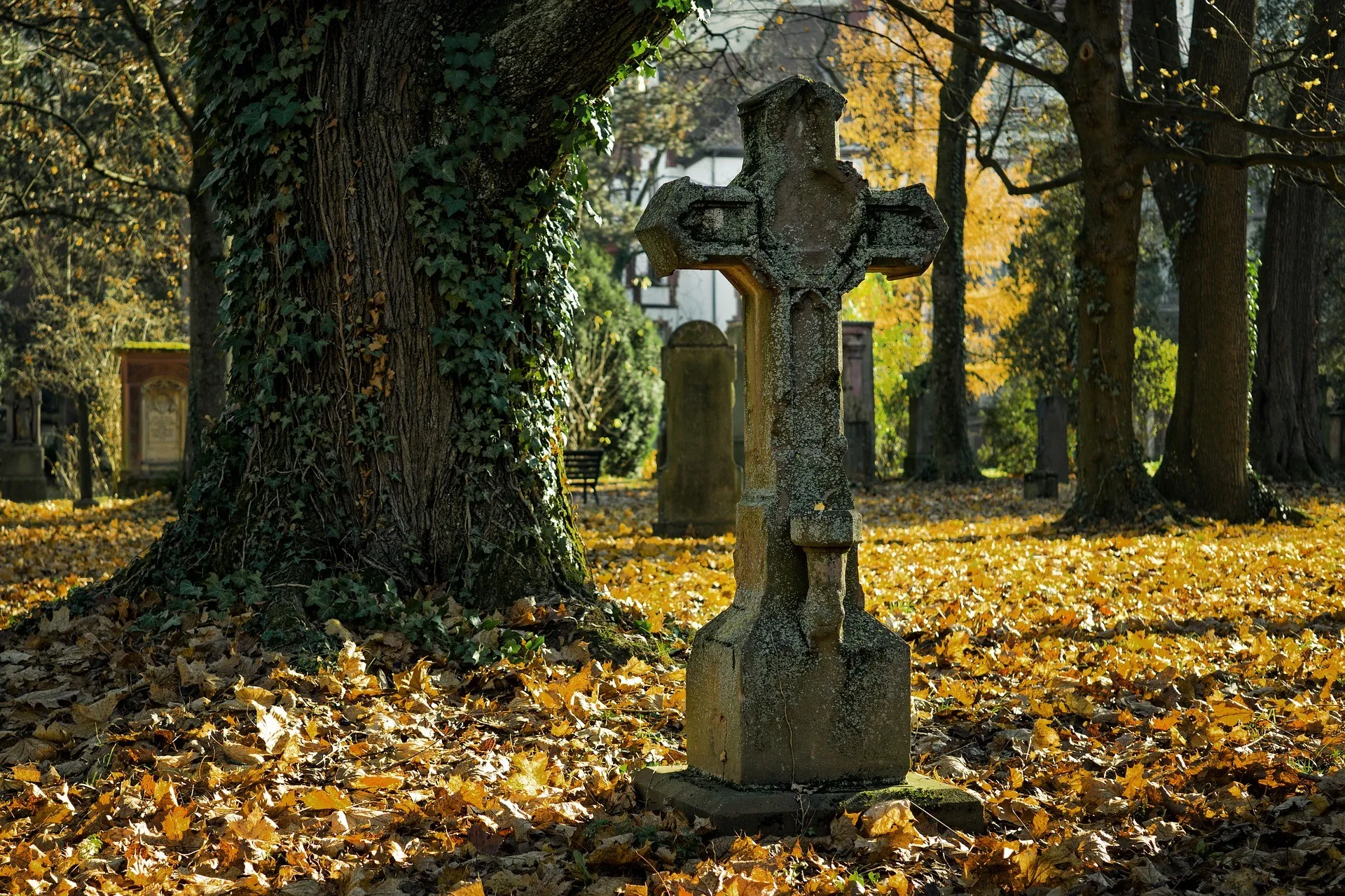 Ein alter Steinkreuz steht auf einem Friedhof, umgeben von gefallenen Blättern. Das Kreuz ist verwittert und hat eine moosige Textur. Dahinter steht ein großer Baum mit Efeu, der seinen Stamm bedeckt. Im Hintergrund befinden sich weitere Grabsteine und ein Haus mit gelben Blättern.