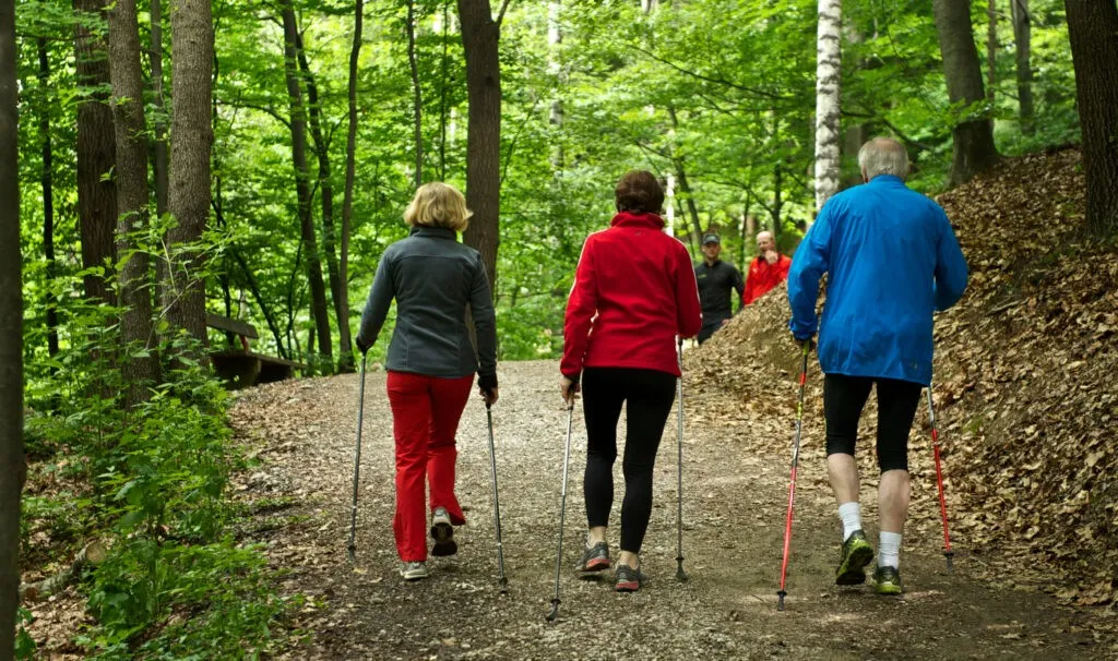 Vier Personen wandern in einem bewaldeten Gebiet mit Trekkingstöcken, andere sind im Hintergrund zu sehen. Der Boden ist steinig, und die Bäume sind üppig.