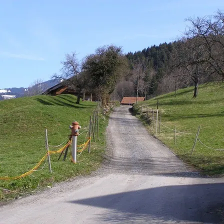 Ein Schotterweg führt durch eine saftige Wiese bergauf, links ein Feuerhydrant und im Hintergrund Häuser unter einem blauen Himmel sichtbar.