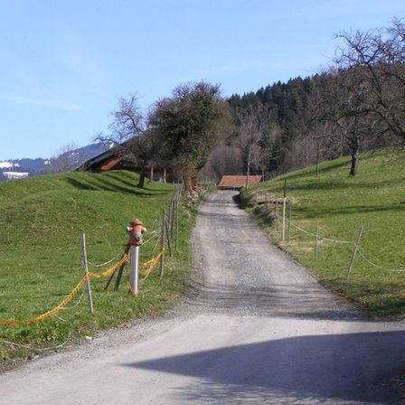 Ein Schotterweg führt durch eine saftige Wiese bergauf, links ein Feuerhydrant und im Hintergrund Häuser unter einem blauen Himmel sichtbar.
