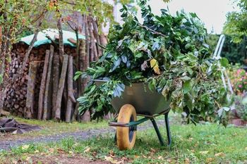 Machine, Wheel, Garden, Nature, Outdoors