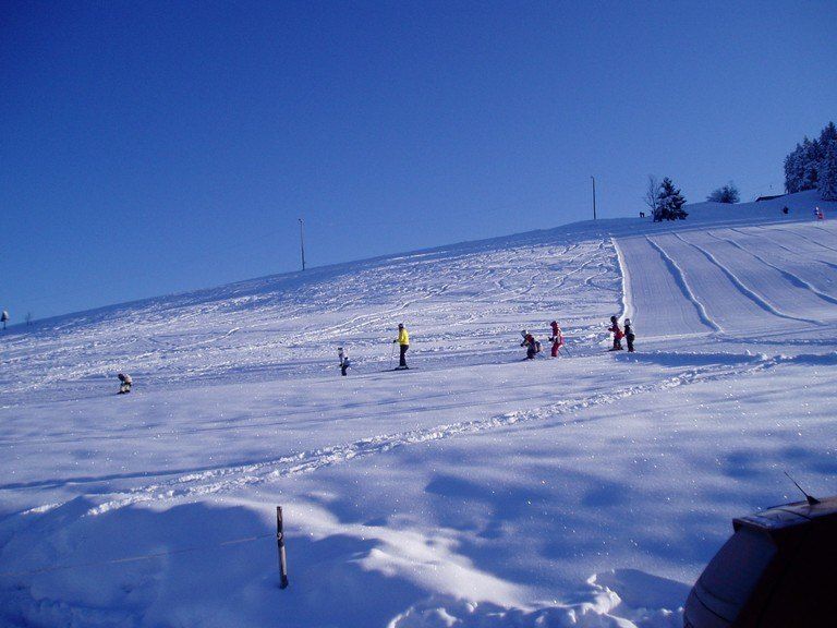Leute genießen das Skifahren und Snowboarden auf einer verschneiten Piste mit Bäumen im Hintergrund.