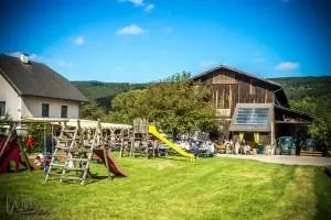 Grass, Plant, Outdoor Play Area, Outdoors, Play Area, Nature, Lawn, Park, Person