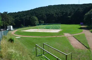 Field, Grass, Plant, Outdoors