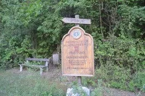 Grass, Nature, Outdoors, Park, Land, Vegetation, Woodland, Bench, Furniture, Gravestone