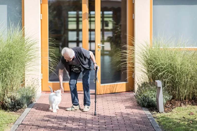 Bild enthält, Adult, Male, Man, Person, Animal, Canine, Mammal, Pet, Walking Dog, Cat