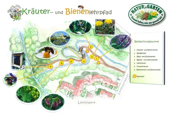 Eine Karte eines Gartens mit verschiedenen Kräutern und Pflanzen, einschließlich einer Biene, Blumen und Bäumen. Beobachtungspunkte sind mit Nummern markiert.