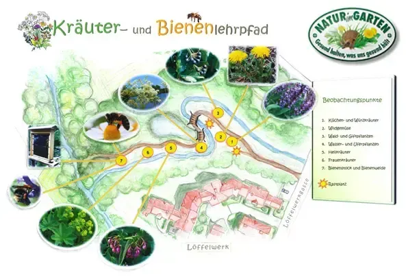 Eine Karte eines Gartens mit verschiedenen Kräutern und Pflanzen, einschließlich einer Biene, Blumen und Bäumen. Beobachtungspunkte sind mit Nummern markiert.