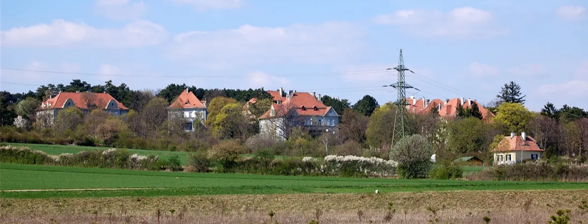 Eine landschaftliche Ansicht mehrerer Häuser mit roten Dächern, umgeben von Bäumen und Büschen, in einem ländlichen Gebiet mit einem Stromleitungsmast im Hintergrund.