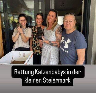 Vier Frauen, jede mit einem Kätzchen in den Armen, stehen vor einer Glastür. Der Text auf dem Bild lautet 'Rettung Kätzchenbabys in der kleinen Steiermark'.