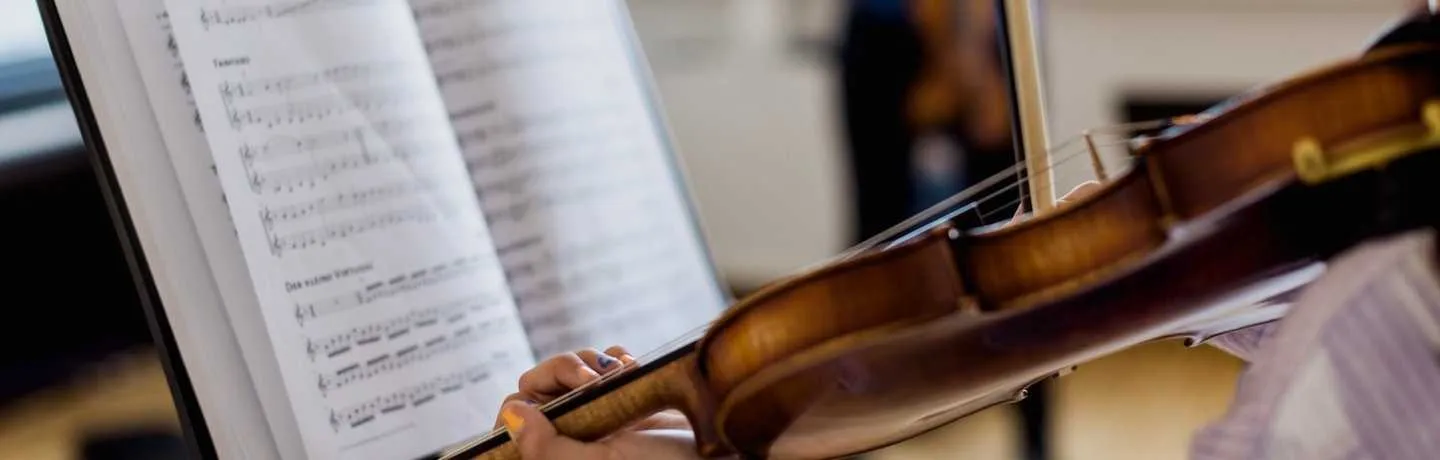 Musical Instrument, Violin