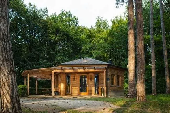 Housing, House, Cabin, Vegetation, Outdoors, Tree, Woodland