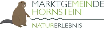 Illustration eines Bibers, der steht, mit einer wellenförmigen Linie, die die Wörter 'Marktgemeinde Hornstein' und 'Naturerlebnis' verbindet.