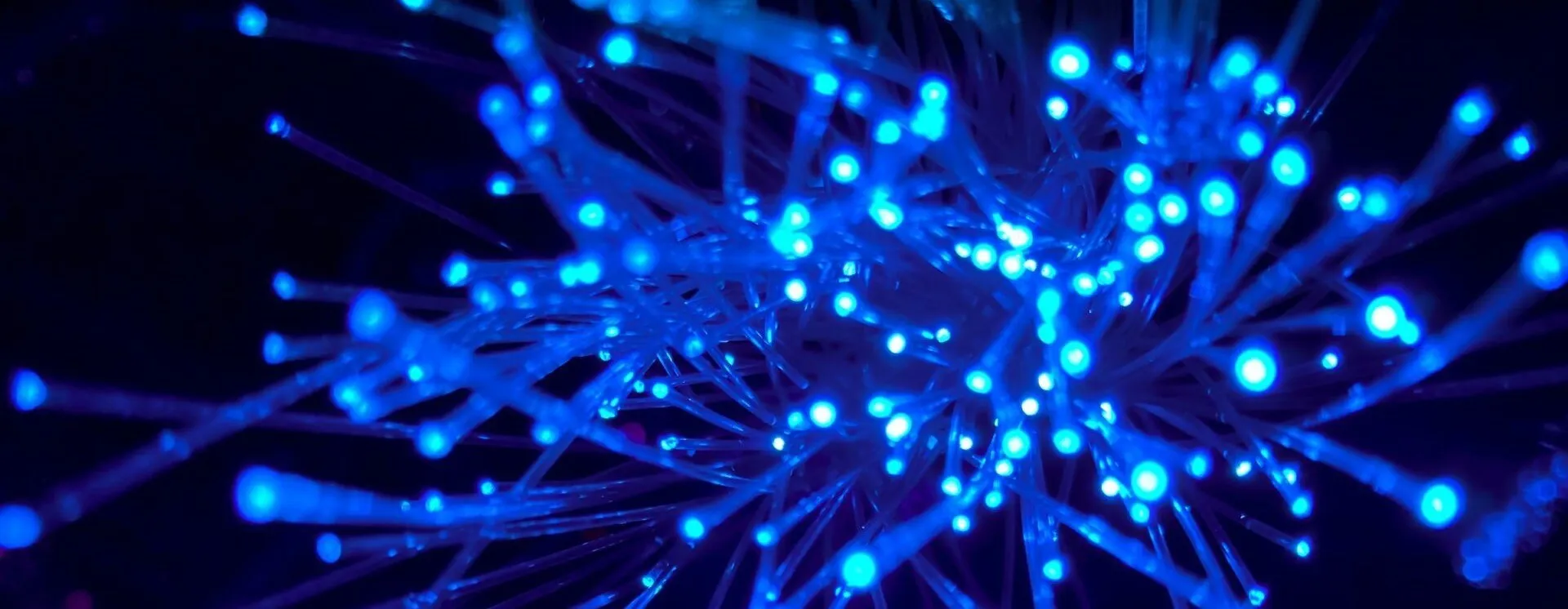 Eine Nahaufnahme eines Netzwerks aus miteinander verbundenen blauen Lichtern. Die Lichter sind hell und strahlen ein sanftes blaues Leuchten aus. Sie sind in einem Muster angeordnet, das einem Cluster ähnelt.