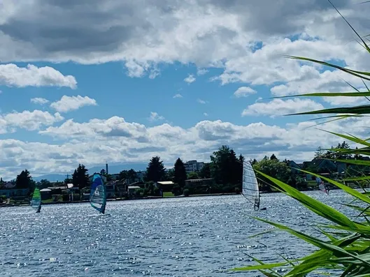 Water, Boat, Canoeing, Sport, Vehicle, Water Sports, Boating, Nature, Outdoors, Plant