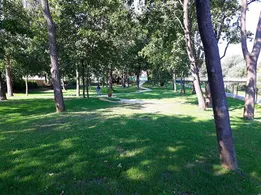Grass, Nature, Outdoors, Park, Grove, Land, Tree, Vegetation, Woodland, Person