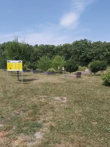 Grass, Plant, Nature, Outdoors, Park, Tree, Graveyard, Ground, Field, Vegetation