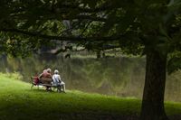 Drei ältere Menschen sitzen auf einer Bank unter einem Baum am See. Sie sind entspannt und genießen die Aussicht.