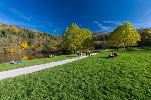 Menschen, die auf einem Grasweg am See spazieren und sitzen, mit Bäumen und Bergen im Hintergrund.
