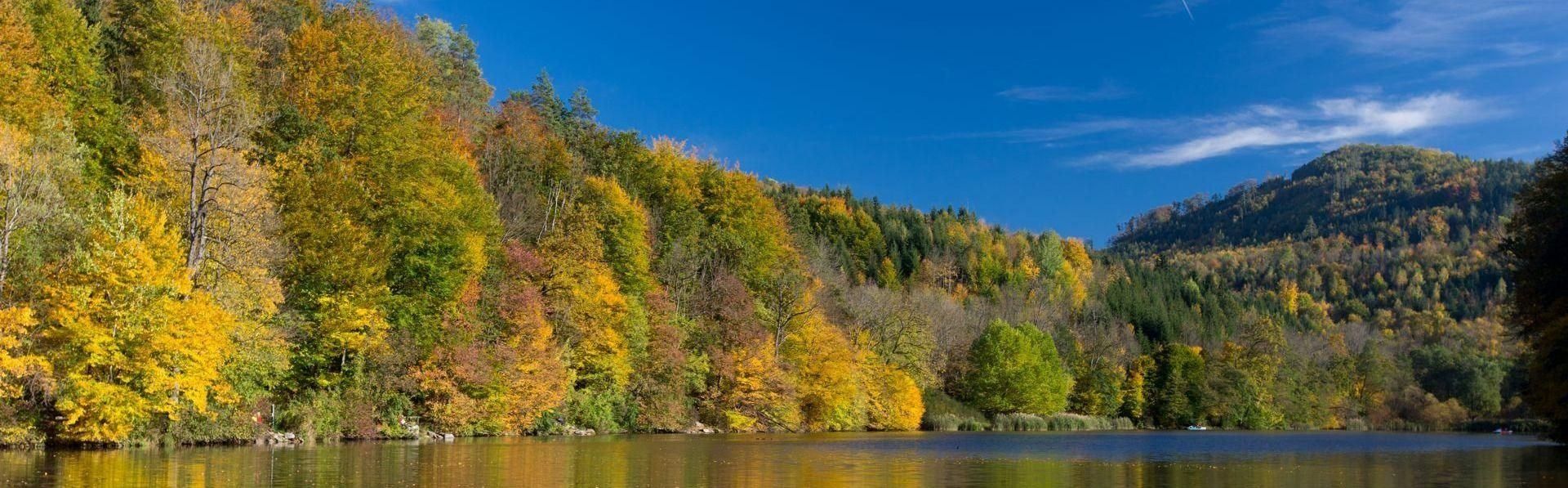 Ein ruhiger See, umgeben von einem Wald leuchtender Herbstbäume unter einem klaren blauen Himmel.