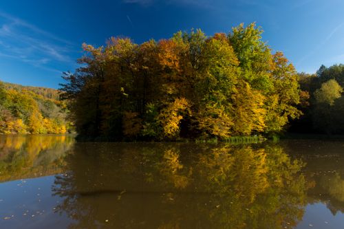 Ein ruhiger See mit einem Haufen herbstlicher Bäume, die sich im Wasser unter einem klaren blauen Himmel spiegeln.