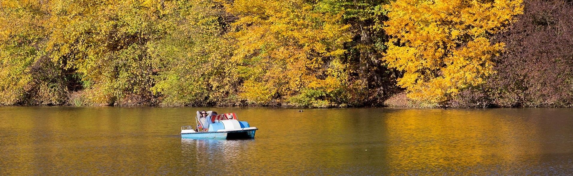 Eine Person mit Sonnenbrille fährt mit einem blauen Boot auf einem ruhigen Fluss, umgeben von herbstlichen Bäumen.