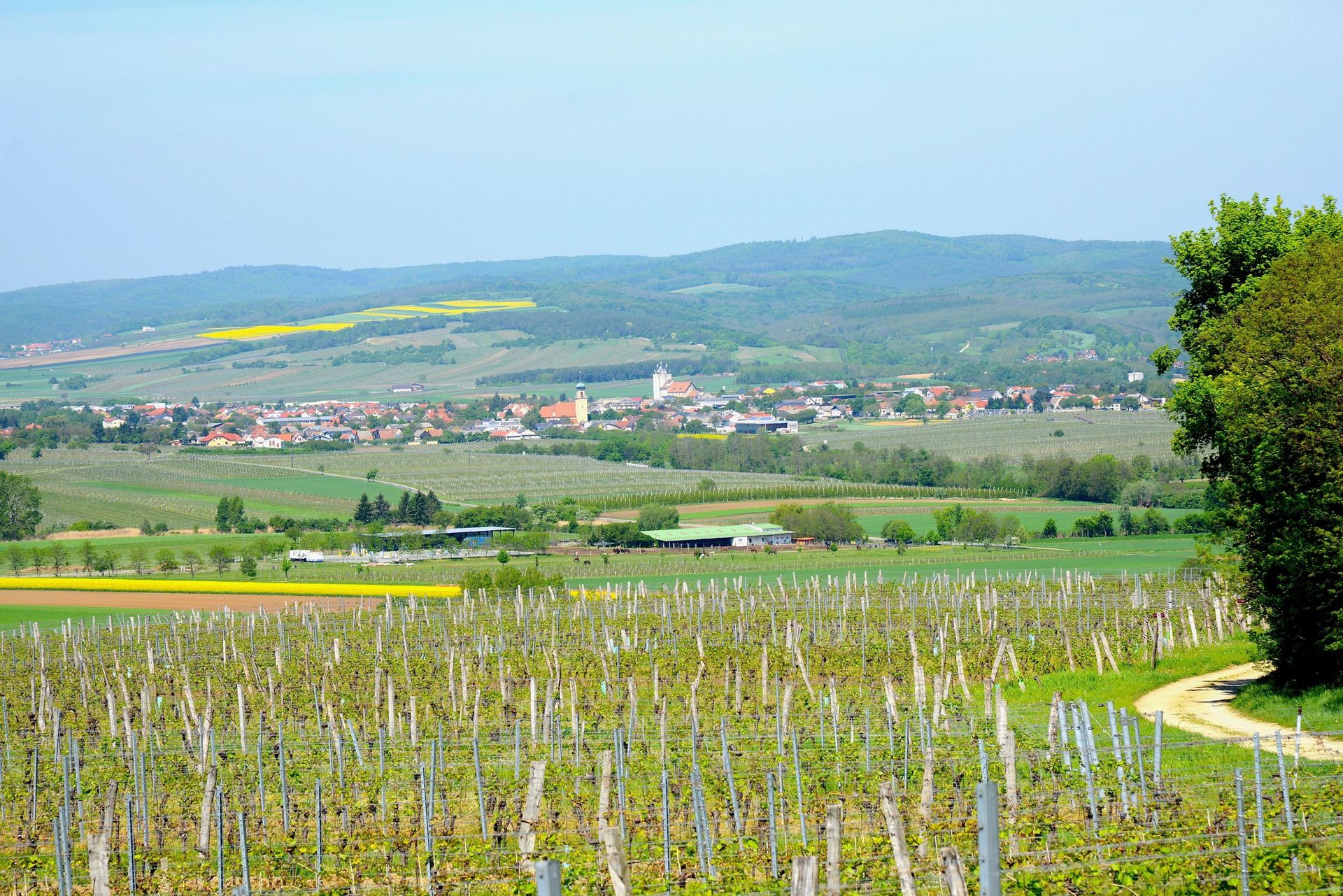 website banner