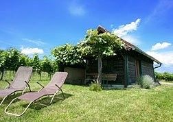 Ein kleines Holzhaus mit einer Bank davor ist von einem Rasen umgeben, mit zwei Liegestühlen im Garten. Das Haus ist mit einer Rebe bedeckt. Der Himmel ist blau mit einigen Wolken.