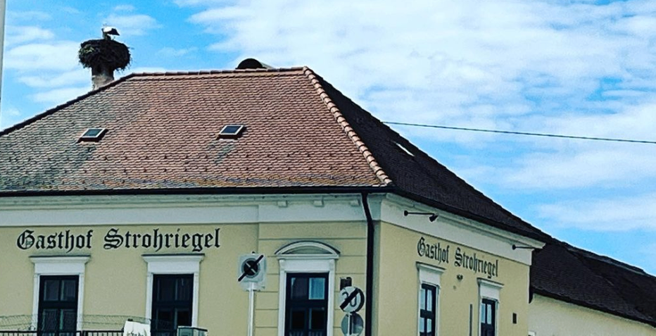 Ein gelbes Gebäude mit einem braunen Dach hat einen Schornstein, auf dem ein Storchennest sitzt. Es hat weiße Verkleidung, schwarze Fenster und ein Schild mit der Aufschrift 'Gasthof Strohriegel.'