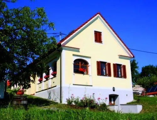 Ein gelbes Haus mit rotem Dach und roten Fensterläden. Es hat Blumen in roten Töpfen an den Fenstern. Es ist von grünem Gras und einem Baum umgeben.